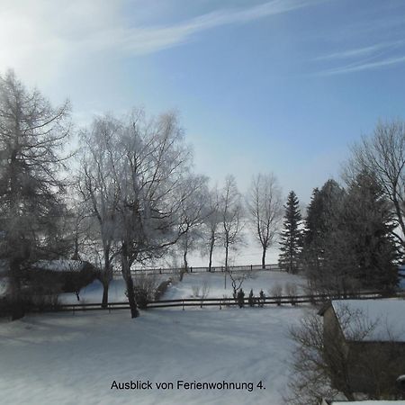 Haus Niemann Ferienwohnungen Deutscheinsiedel Buitenkant foto