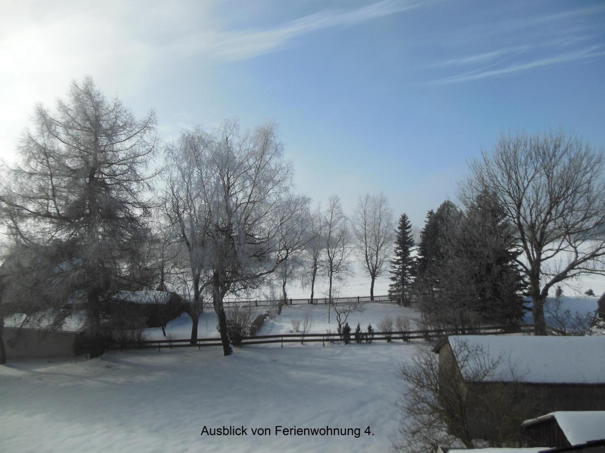 Haus Niemann Ferienwohnungen Deutscheinsiedel Buitenkant foto