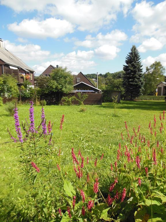 Haus Niemann Ferienwohnungen Deutscheinsiedel Buitenkant foto